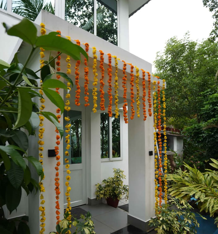 ayurveda clinic